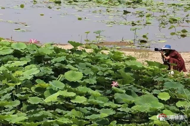 杭州的西湖，莒縣的西湖煙雨