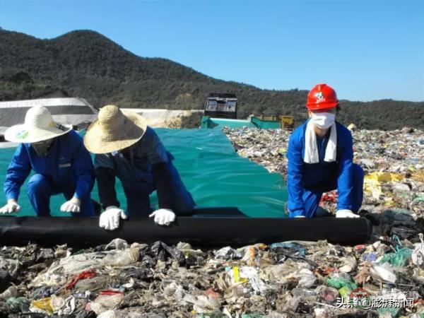 “逼瘋”上海人的垃圾分類背后，藏著中國人不知道的殘忍真相