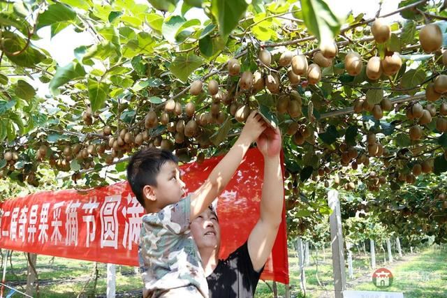 國慶假期莒縣最新“旅行情報圖”，為你泄密哪里“人從眾”